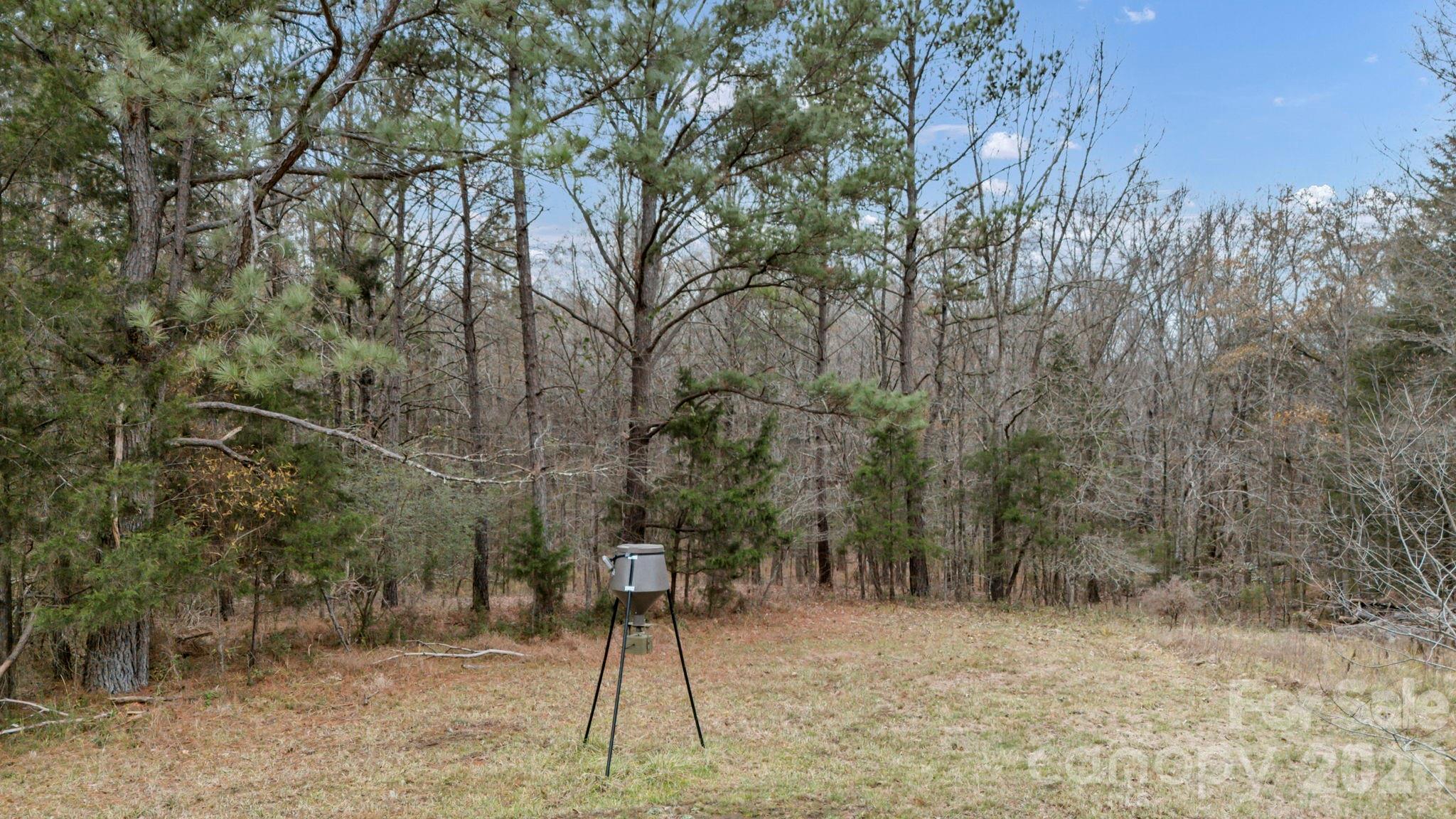 6330 Richburg Road Great Falls, SC 29055 - Photo 10 of 41