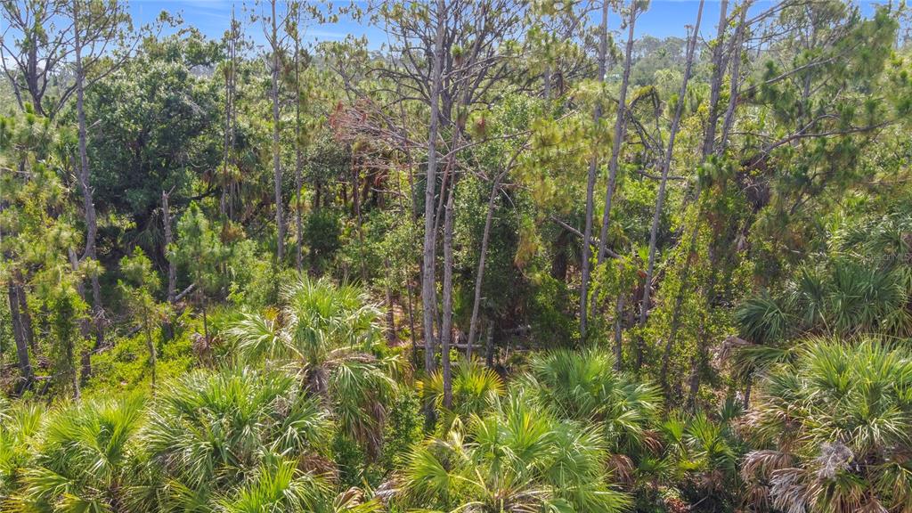 356 Lindon Street Port Charlotte, FL 33954 - Photo 11 of 18 a view of a garden