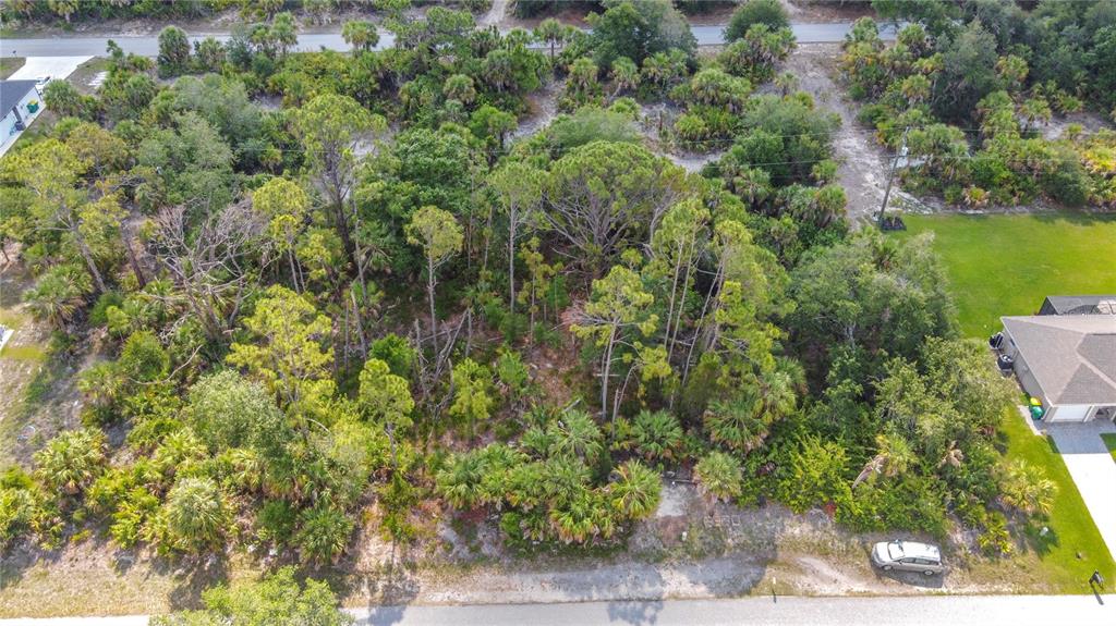 356 Lindon Street Port Charlotte, FL 33954 - Photo 7 of 18 a view of a forest