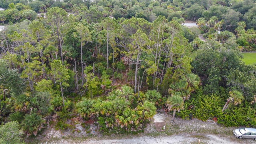 356 Lindon Street Port Charlotte, FL 33954 - Photo 8 of 18 a view of a forest with a tree