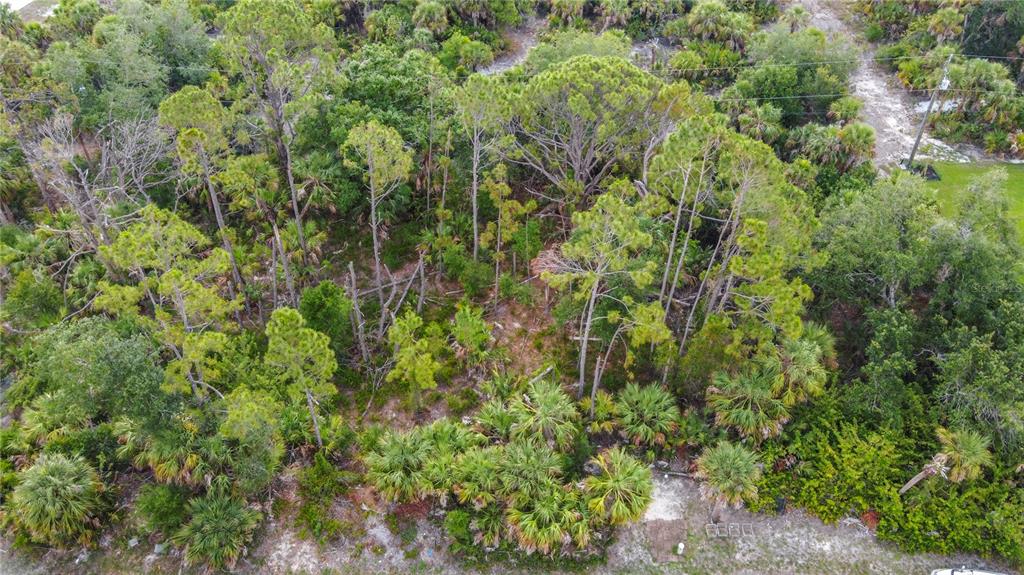 356 Lindon Street Port Charlotte, FL 33954 - Photo 9 of 18 a view of a forest