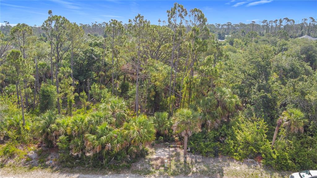 356 Lindon Street Port Charlotte, FL 33954 - Photo 10 of 18 a view of a city