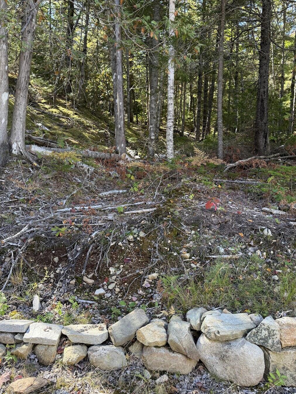 202 Ayers Junction Road Pembroke, ME 04666 - Photo 16 of 46 IMG_8785