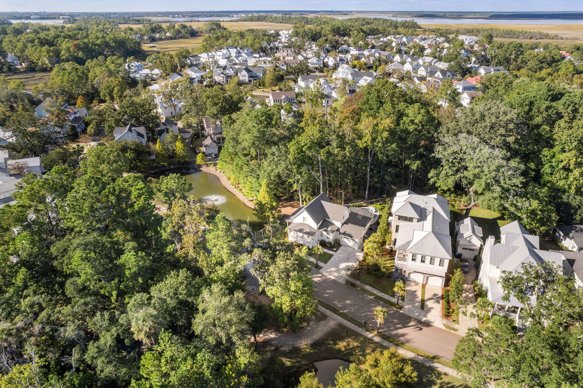 343 Bridgetown Pass Mount Pleasant, SC 29464 - Photo 31 of 47 Aerial View