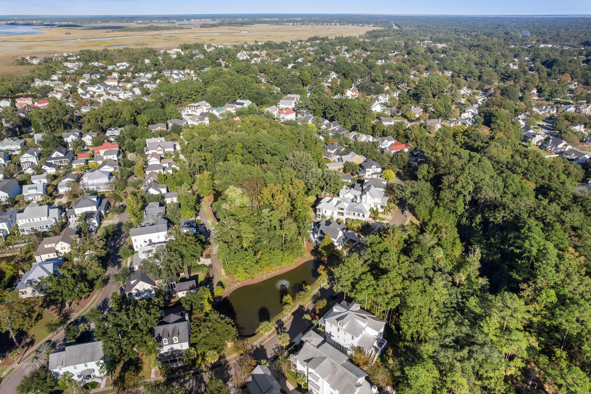 343 Bridgetown Pass Mount Pleasant, SC 29464 - Photo 34 of 47 Close to Water