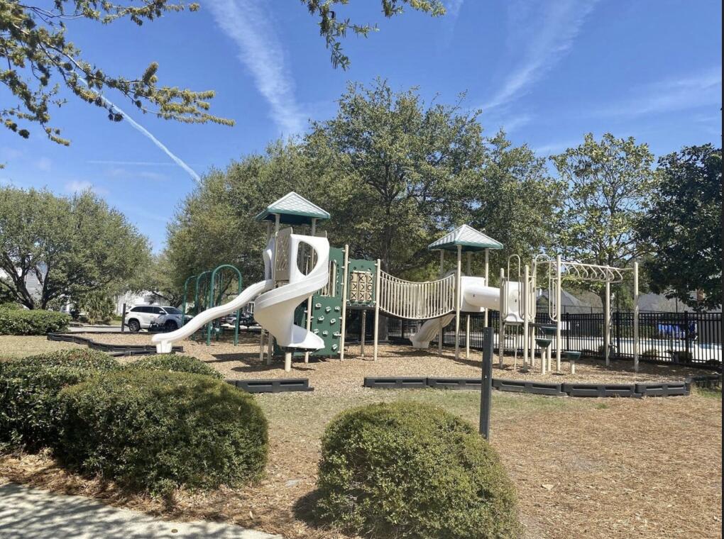 343 Bridgetown Pass Mount Pleasant, SC 29464 - Photo 42 of 47 Belle Hall Playground