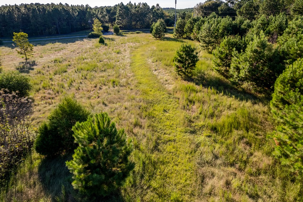 2226 Randall Wade Road Headland, AL 36345 - Photo 50 of 60