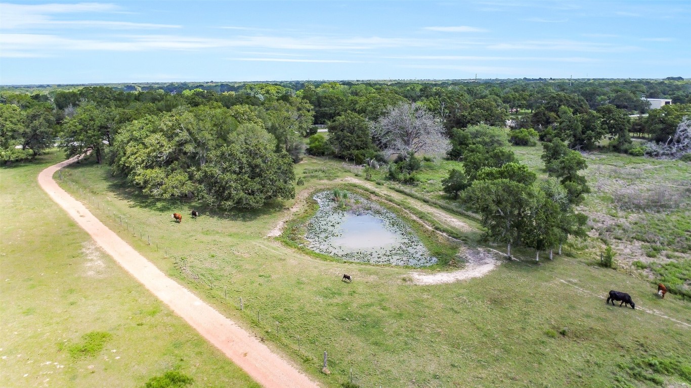 41545 Farm To Market 3346 Hempstead, TX 77445 - Photo 48 of 49 a view of a swimming pool with a yard