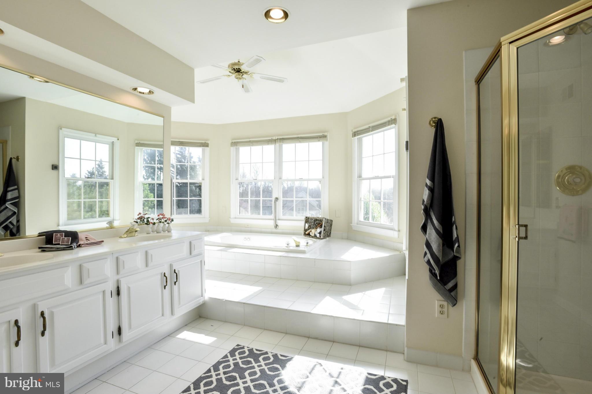 9723 Middleton Ridge Road Vienna, VA 22182 - Photo 17 of 30 Bath (Master)