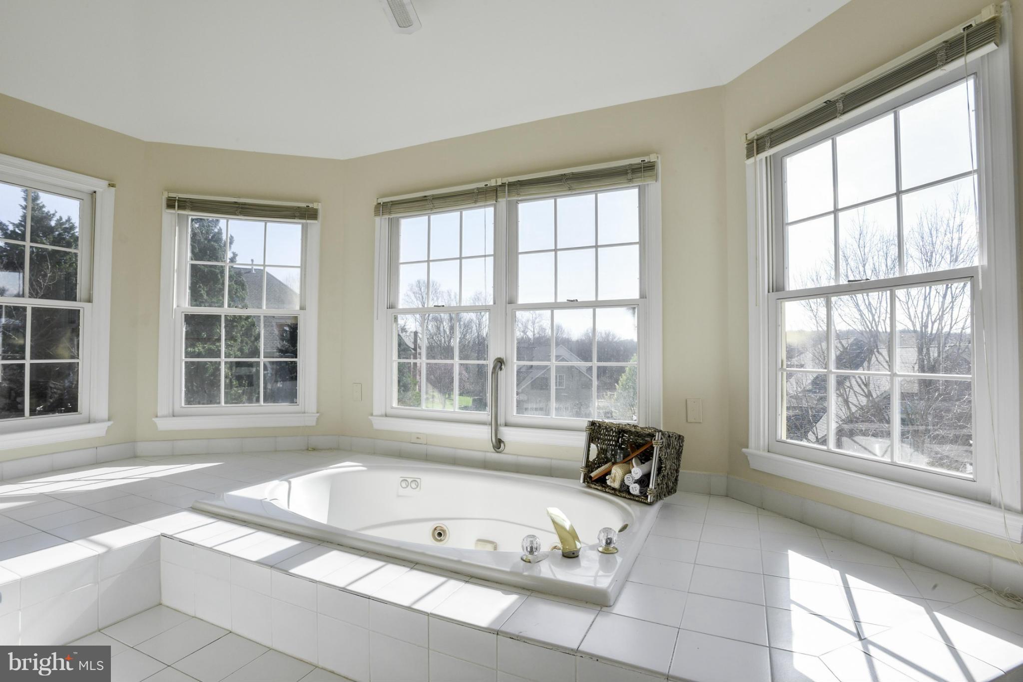 9723 Middleton Ridge Road Vienna, VA 22182 - Photo 18 of 30 Bath (Master)