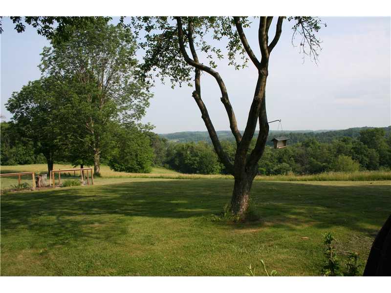 5640 Tuscarawas Road Beaver, PA 15009 - Photo 14 of 14 Yard/Garden.