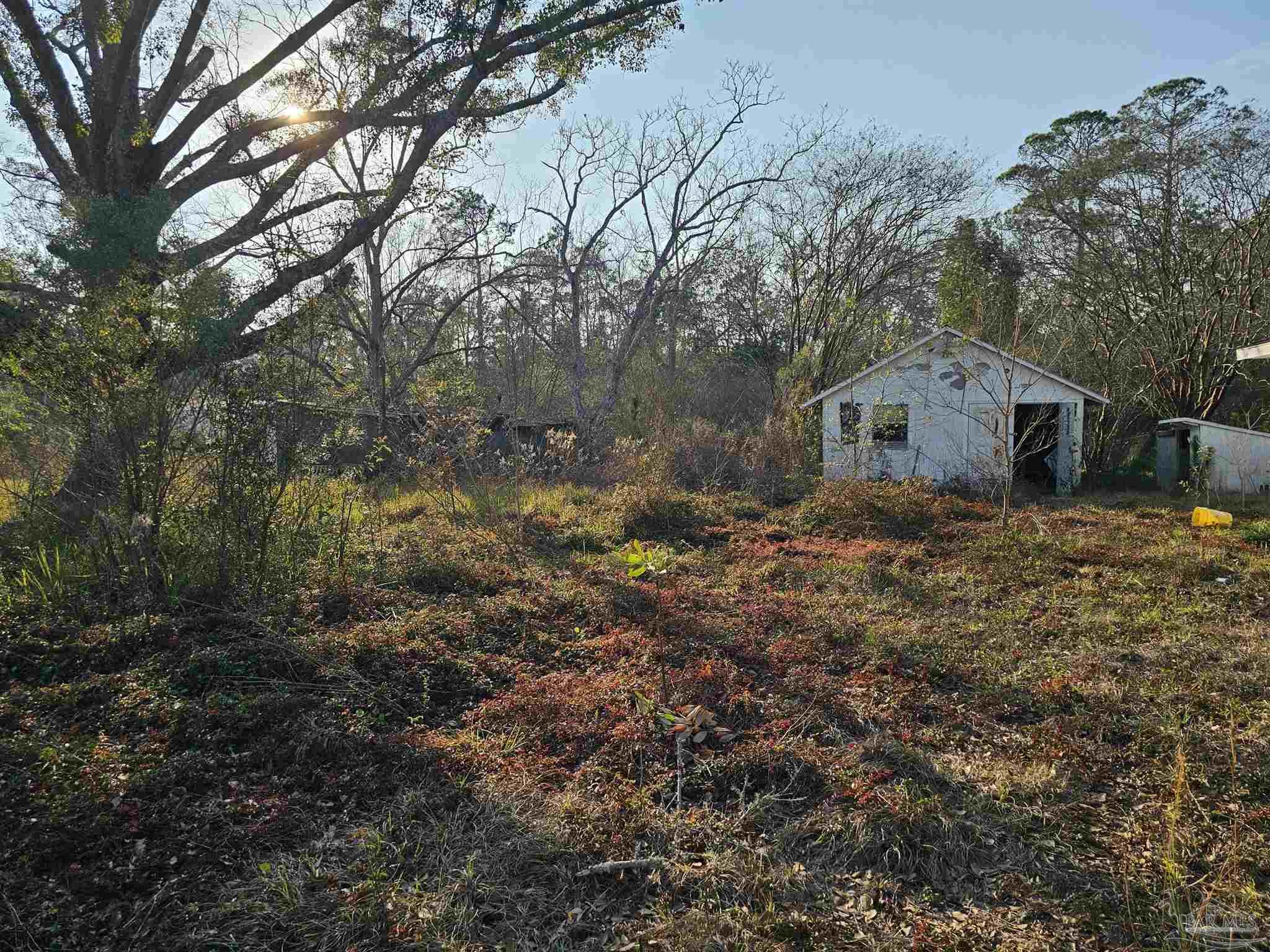 29640 Highway 98 Elberta, AL 36530 - Photo 3 of 19 a view of a house with a yard