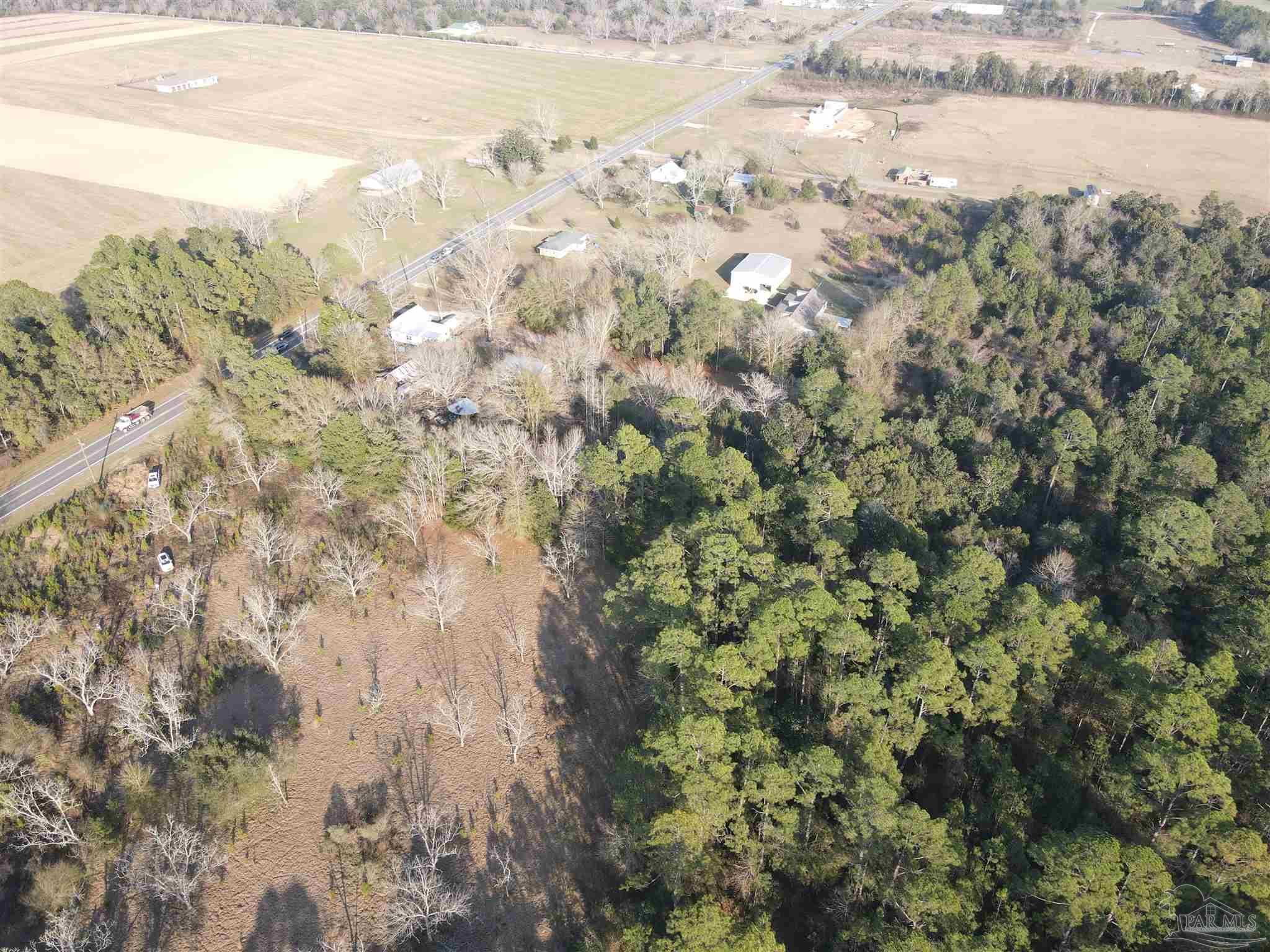 29640 Highway 98 Elberta, AL 36530 - Photo 7 of 19 a view of a forest with a forest