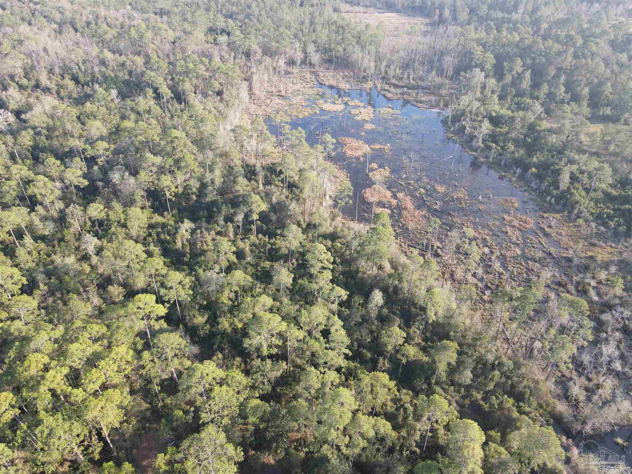 29640 Highway 98 Elberta, AL 36530 - Photo 8 of 19 a view of a yard with a tree