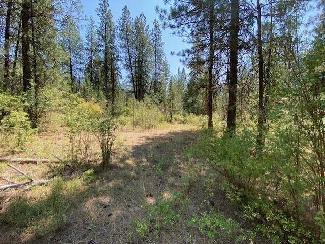 0 Rail Canyon Road Springdale, WA 99173 - Photo 8 of 35
