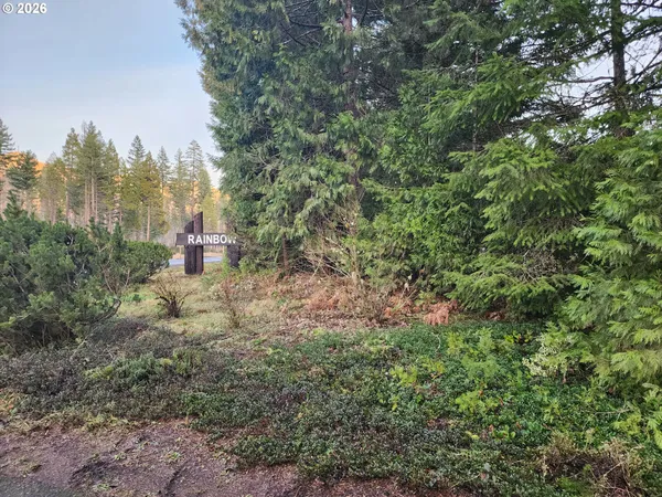 a view of a trees in a yard