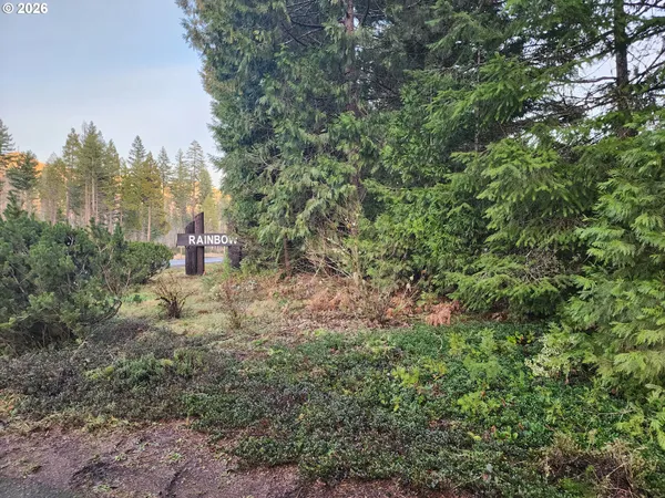 a view of a trees in a yard