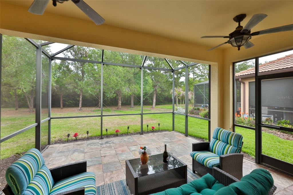 147 Silver Falls Drive Apollo Beach, FL 33572 - Photo 18 of 72