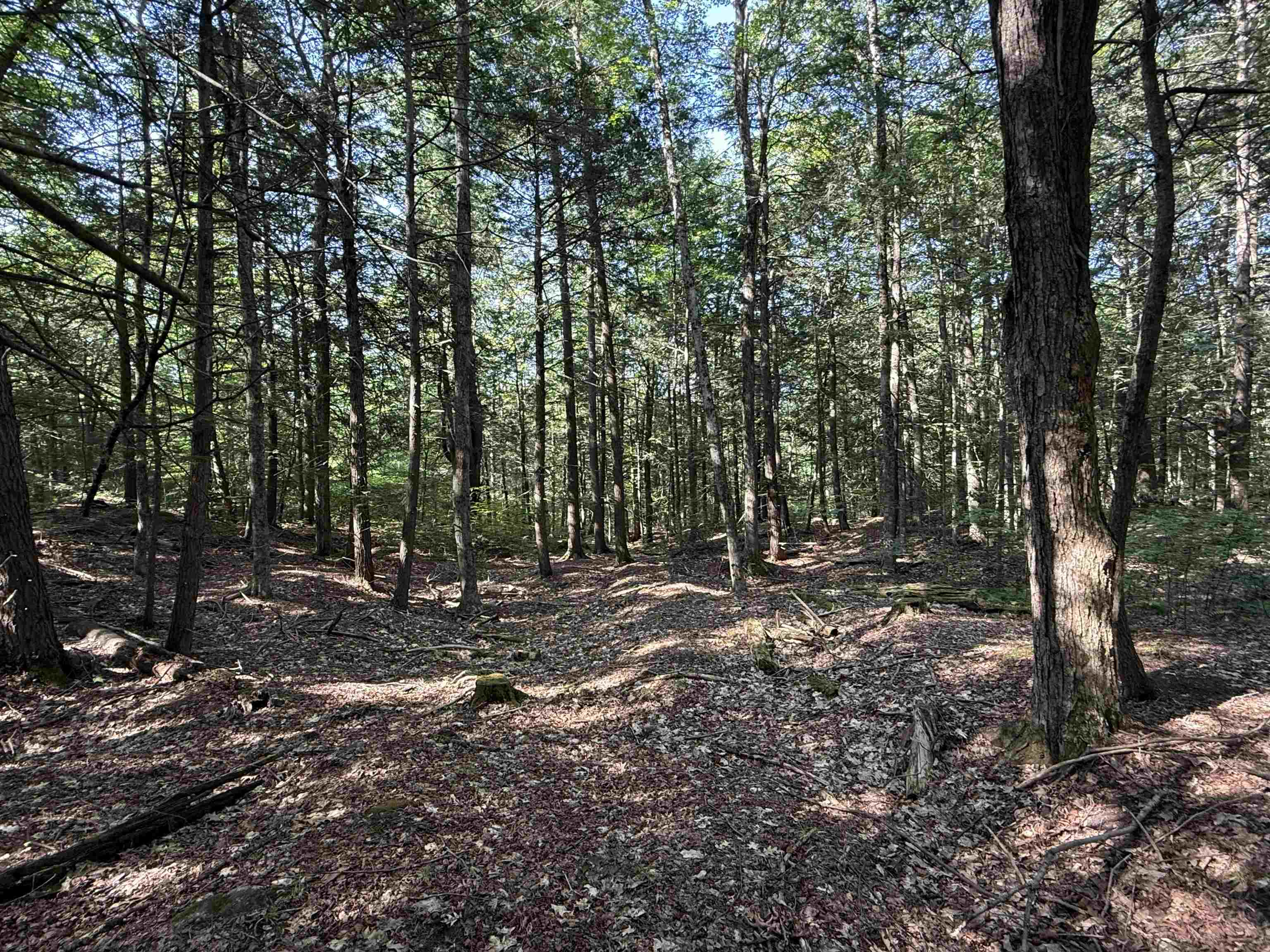 0 Stickney Brook Road Brattleboro, VT 05301 - Photo 6 of 14 Gallery Image 6