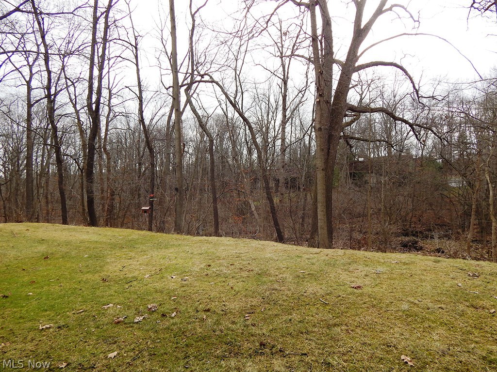 171 Granger Road, Unit 145 Medina, OH 44256 - Photo 20 of 23 Gallery Image 20
