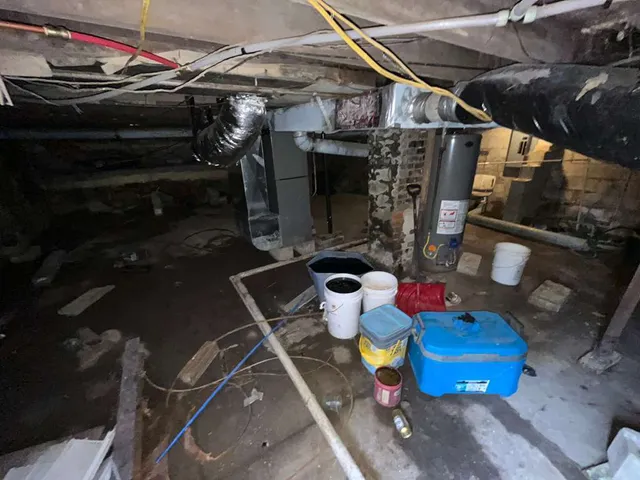 a blue and white sitting area with some potted plants