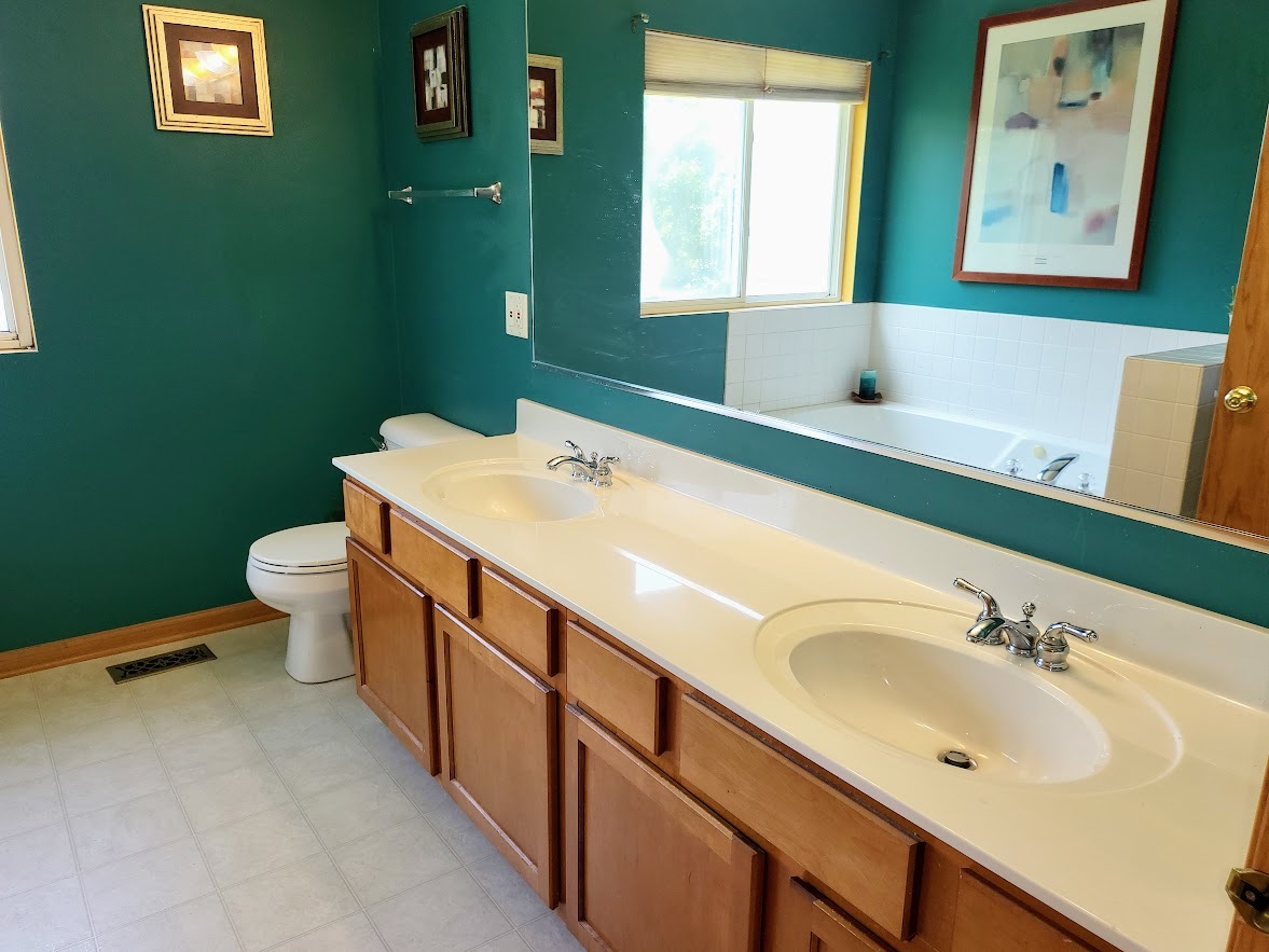 156 Sycamore Drive Bolingbrook, IL 60490 - Photo 18 of 26 a bathroom with a sink and a toilet