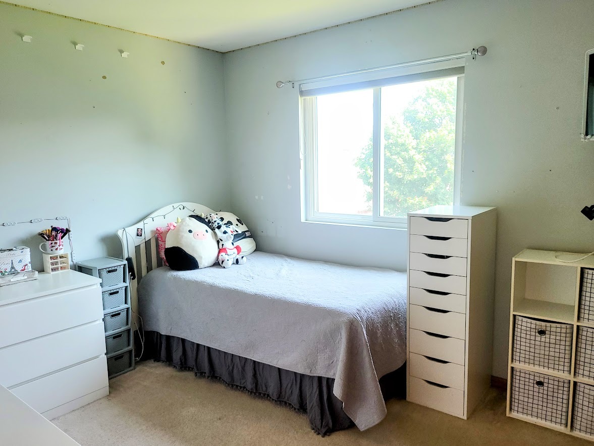 156 Sycamore Drive Bolingbrook, IL 60490 - Photo 21 of 26 a bedroom with a bed and a cabinets