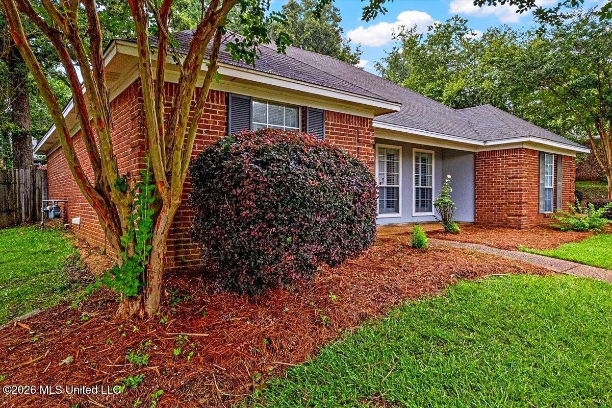 108 Cypress Ridge Drive Brandon, MS 39047 - Photo 5 of 29 03-DJI_0104