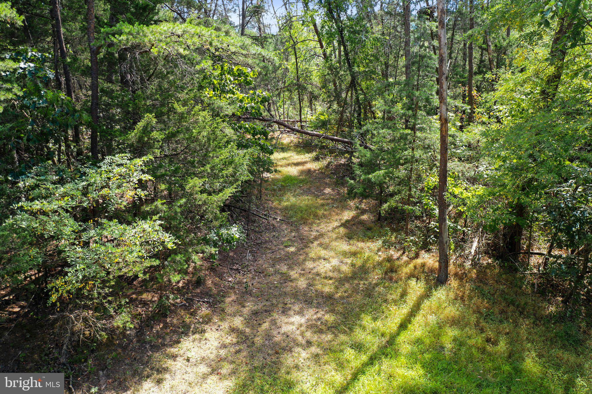 Figgins Road Front Royal, VA 22630 - Photo 16 of 21 Property has a horseshoe driveway