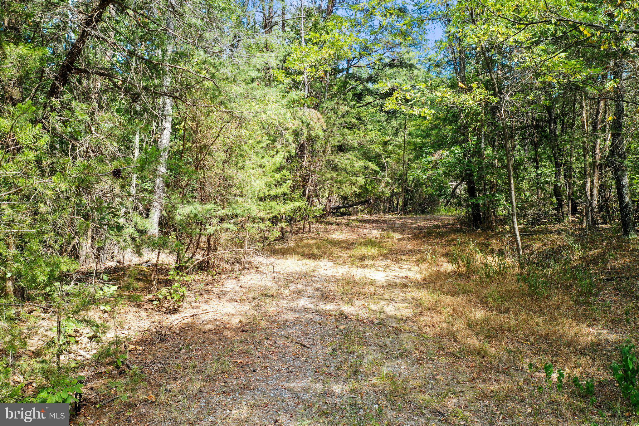 Figgins Road Front Royal, VA 22630 - Photo 17 of 21 Horseshoe driveway
