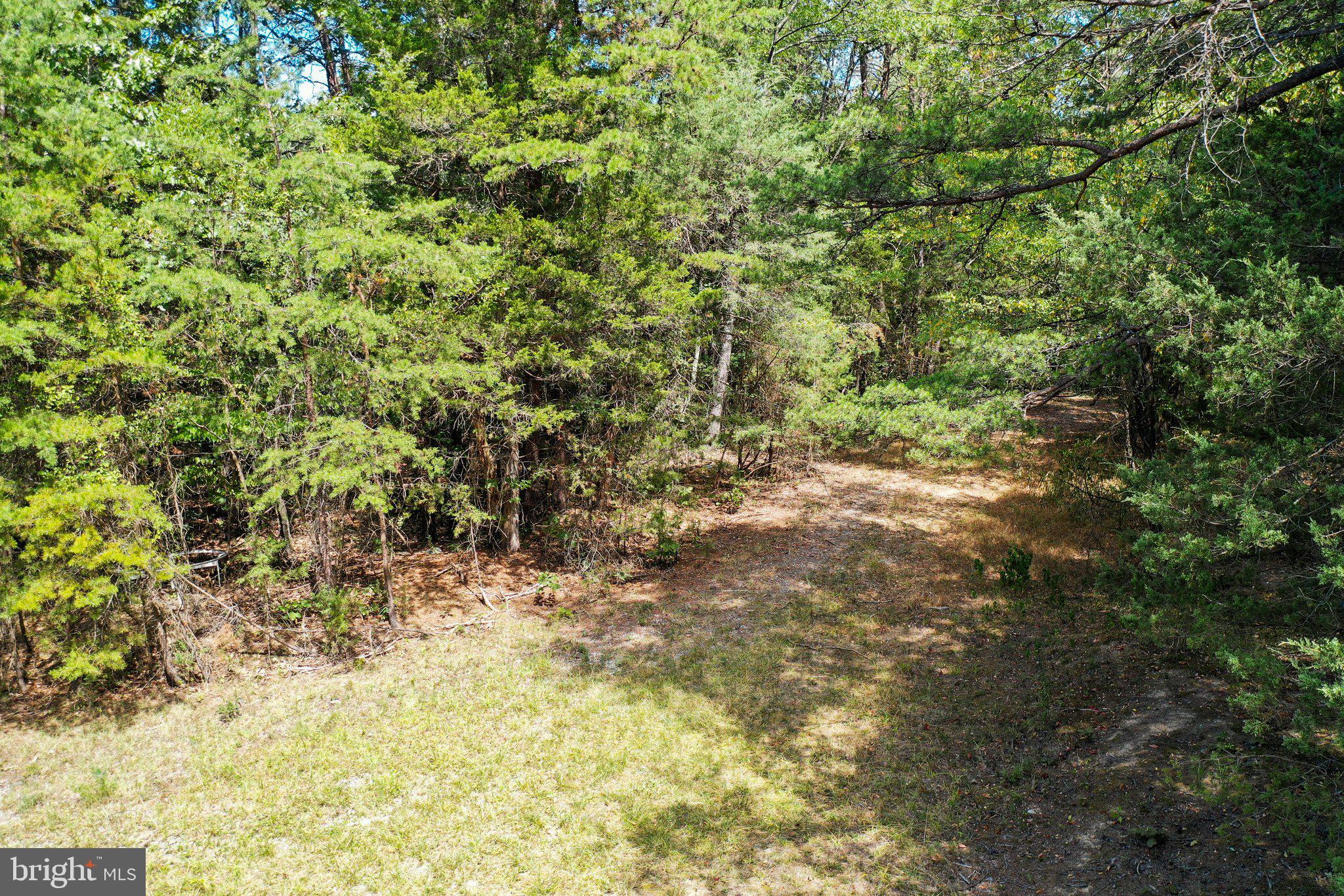 Figgins Road Front Royal, VA 22630 - Photo 18 of 21 Horseshoe driveway