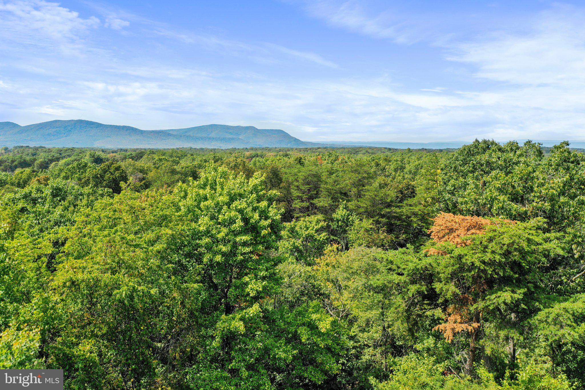 Figgins Road Front Royal, VA 22630 - Photo 19 of 21 Property is surrounded by gorgeous mountains