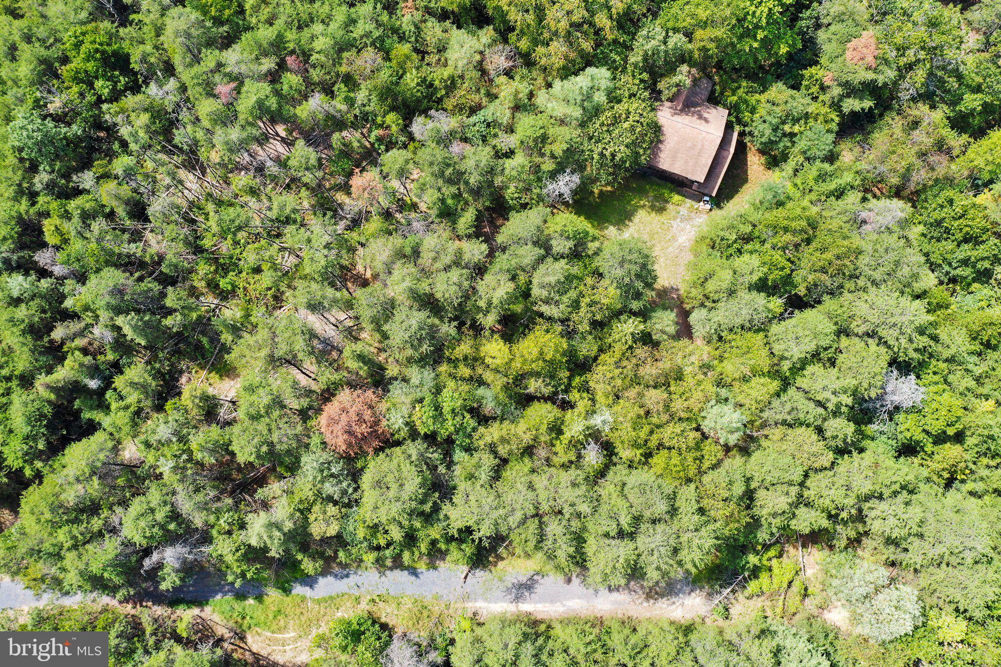 Figgins Road Front Royal, VA 22630 - Photo 21 of 21 Overhead showing easement and roof of garage