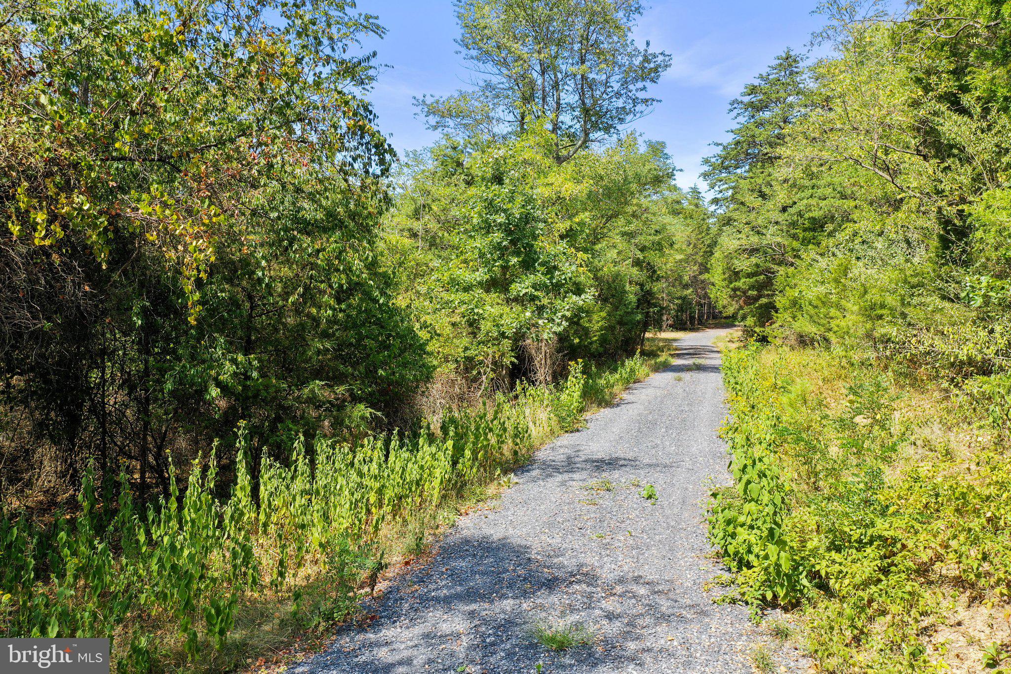 Easement, property to left