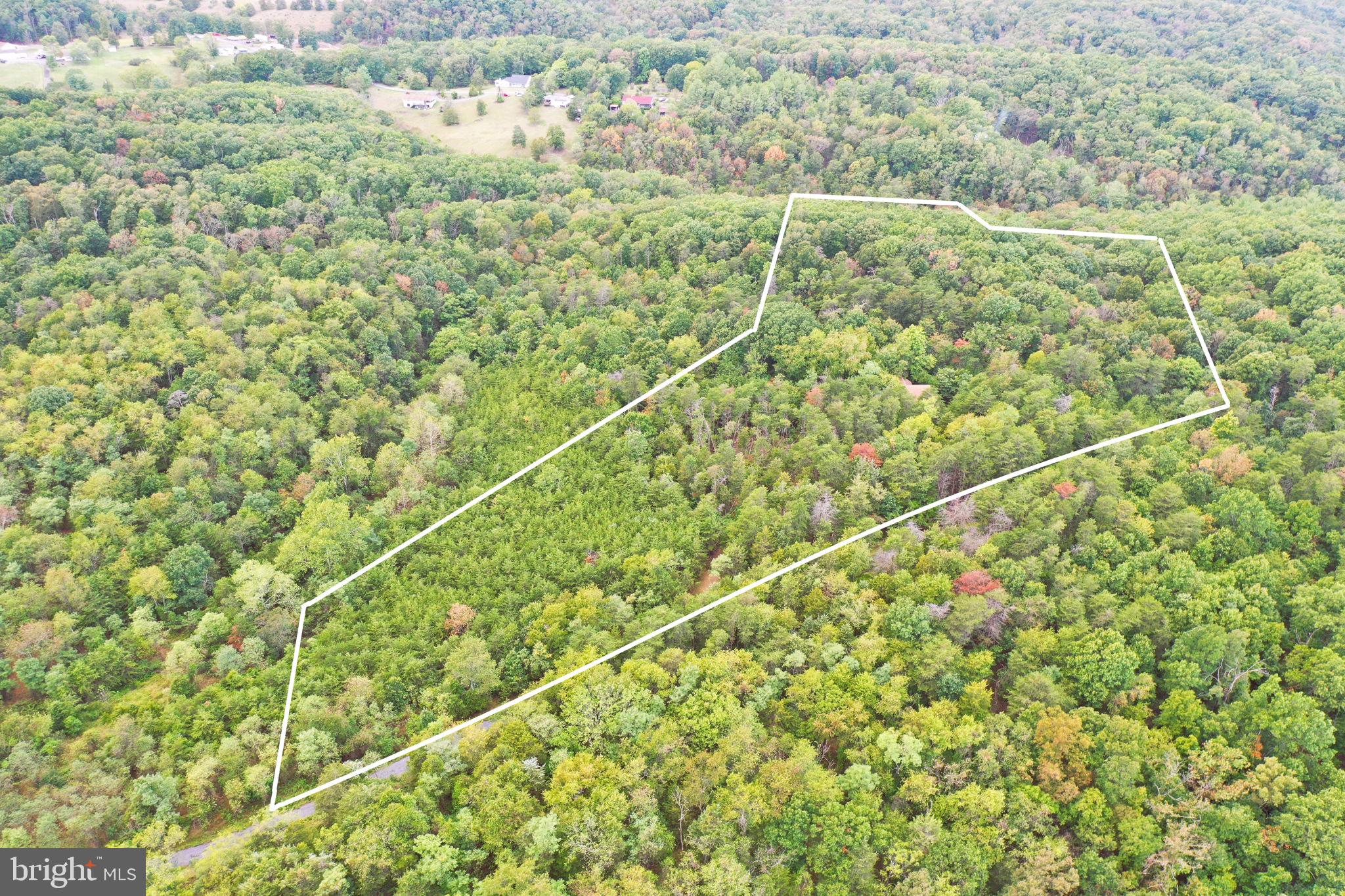Estimated boundary lines