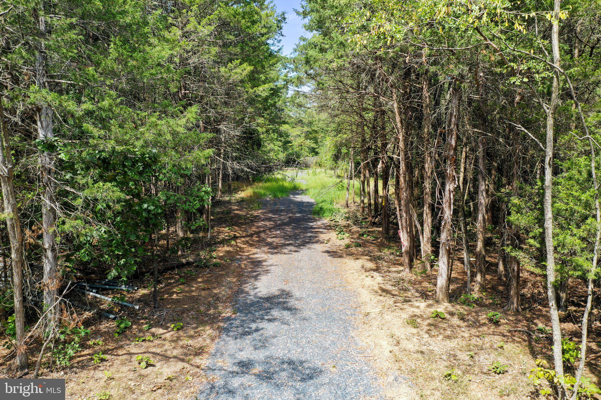 Figgins Road Front Royal, VA 22630 - Photo 9 of 21 Easement leading to end of Rd and property on left