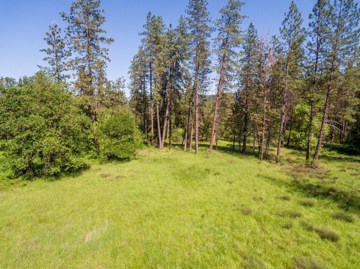 680 Horizon Hills Road Williams, OR 97544 - Photo 11 of 20 Additional Photo