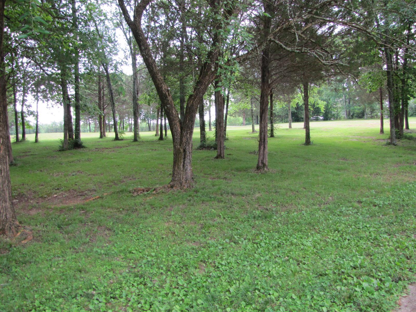 448 Quarry Road Mount Juliet, TN 37122 - Photo 27 of 29 Gallery Image 27