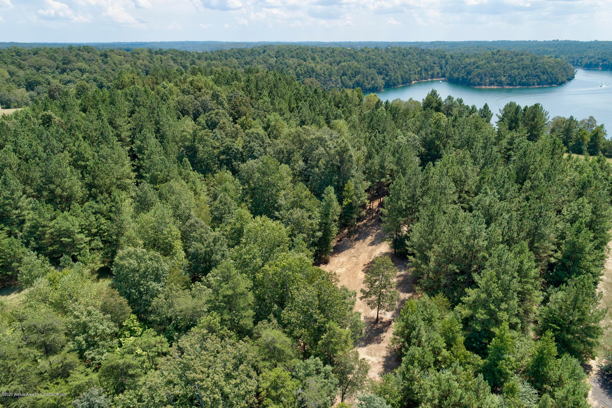 0 Co Road Crane Hill, AL 35053 - Photo 12 of 23 Gallery Image 12