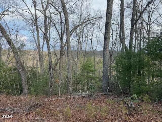 973 Ridgefield Drive Sevierville, TN 37876 - Photo 3 of 13 Gallery Image 3