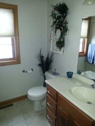 1458 North 3025th Road Ottawa, IL 61350 - Photo 14 of 21 a bathroom with a toilet sink and mirror
