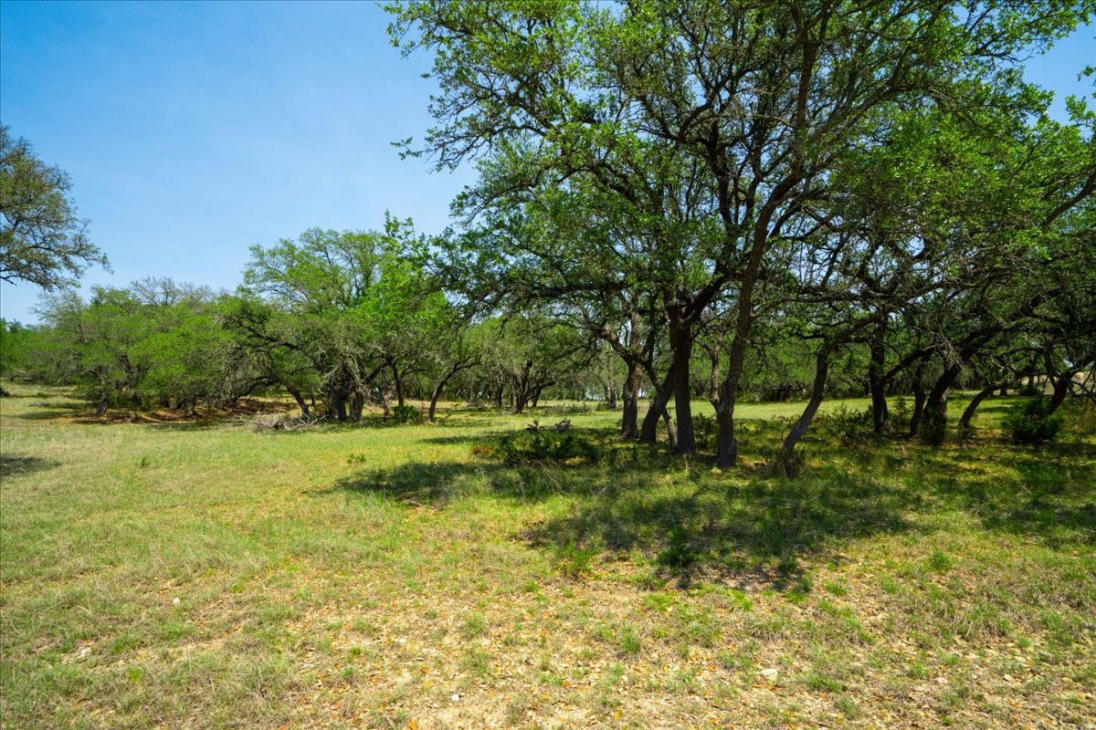 101 Mystic Overlook Road Dripping Springs, TX 78620 - Photo 23 of 27