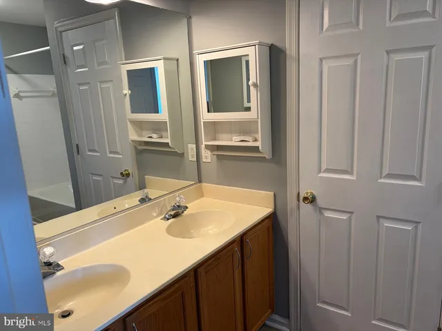 a bathroom with a sink vanity and a mirror