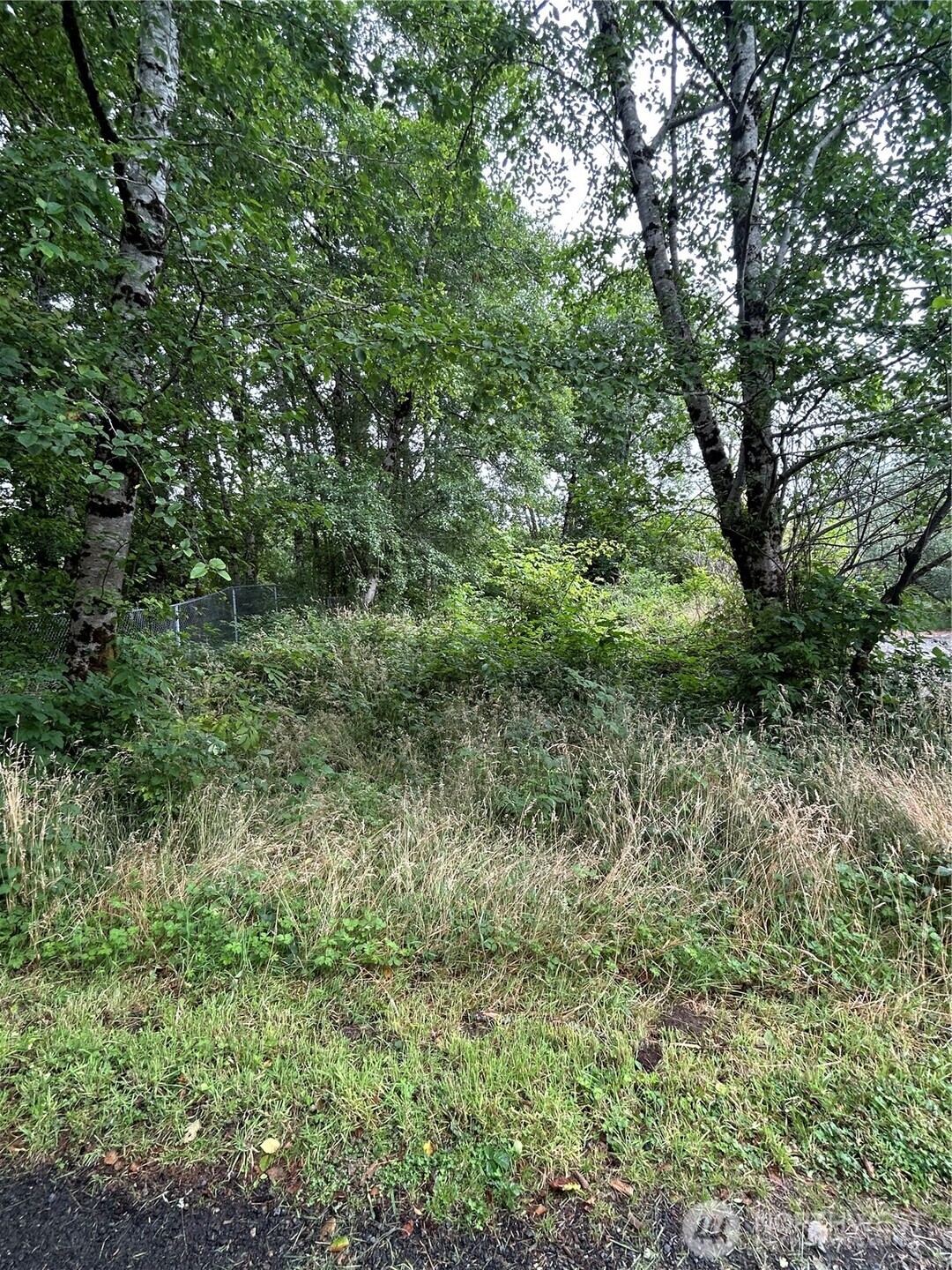 1403 State Rt 105 Grayland, WA 98547 - Photo 10 of 10 Gallery Image 10
