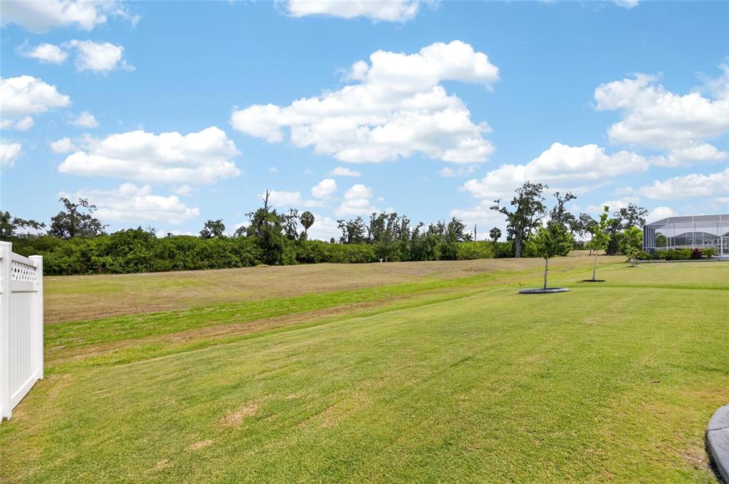 1019 Signet Drive Apollo Beach, FL 33572 - Photo 44 of 85