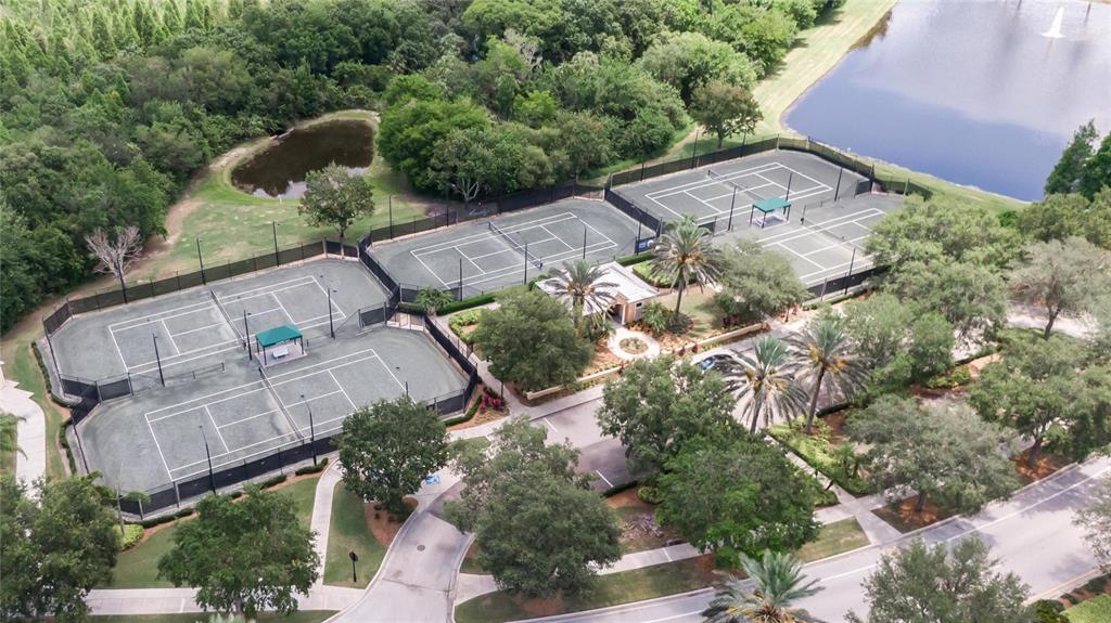 1019 Signet Drive Apollo Beach, FL 33572 - Photo 81 of 85