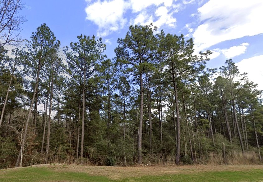 10621 Devotion Road Willis, TX 77378 - Photo 11 of 23