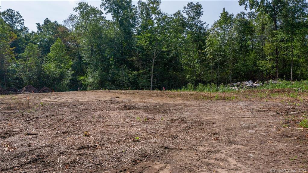 251 Horiska Road Lebanon, CT 06249 - Photo 1 of 1 a view of a yard