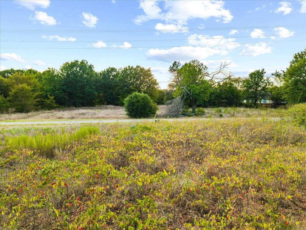 1045 Midway Road Tool, TX 75143 - Photo 9 of 26 Gallery Image 9