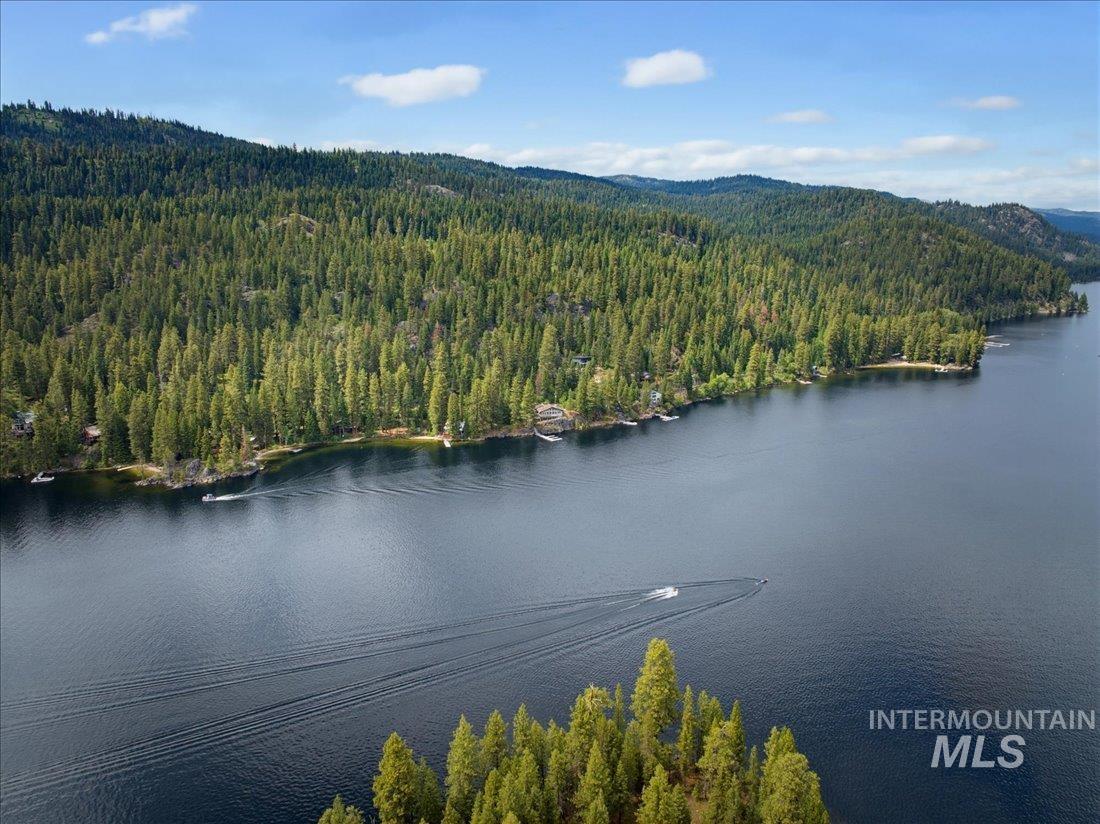 3800 Warren Wagon Road McCall, ID 83638 - Photo 41 of 50 Expansive waterfront with a natural shoreline and dense tree coverage